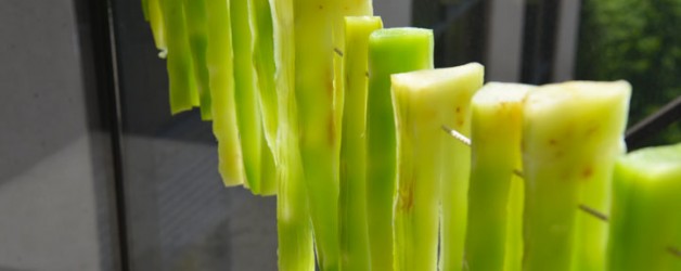 味道（5）